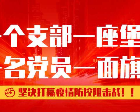 仁村战“疫”情|支部吹响集结号，党员群众共奋战