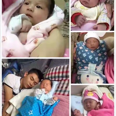 祝依晗生日快乐