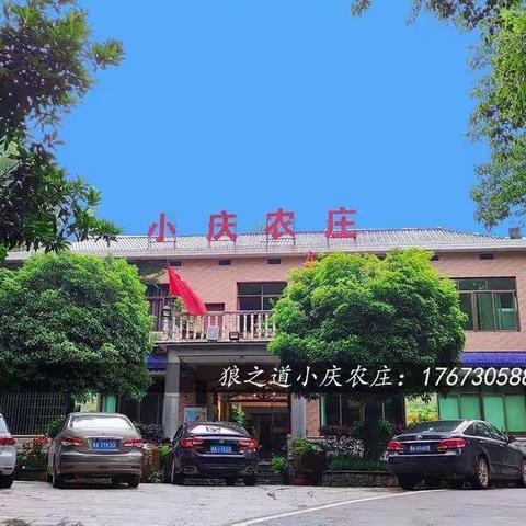 公司团建长沙周末一日游好去处，小庆农庄