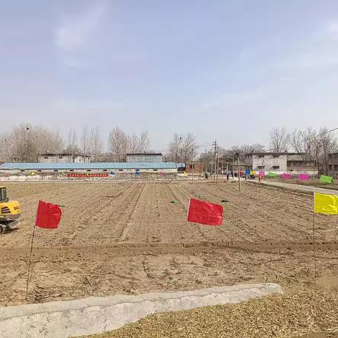 后河镇在107沿线现场举行卫辉市桃树种植管理技术培训会