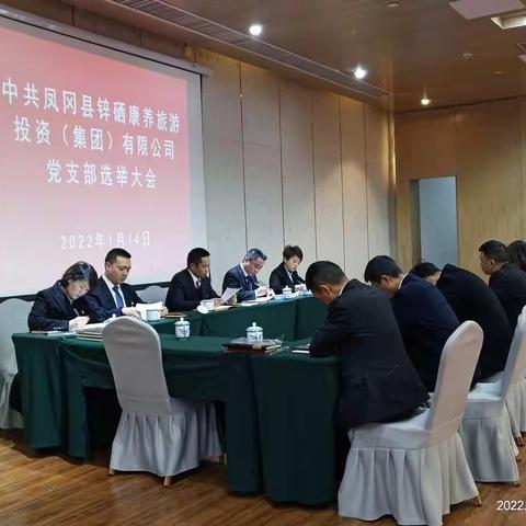 凤冈康旅集团召开第一次党员大会暨选举大会