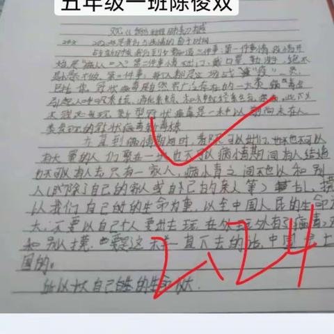 育才小学观后感