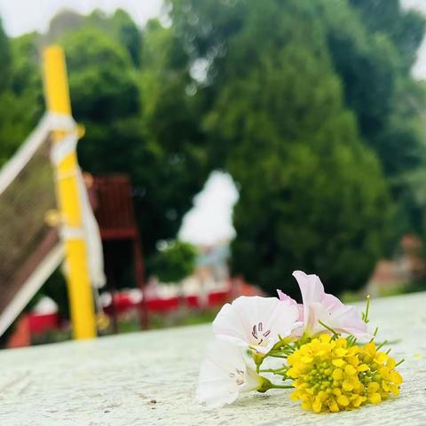 兰干镇双渠村第一分园2022-2023学年第一学期教师技能考核评比——“疫”起向未来