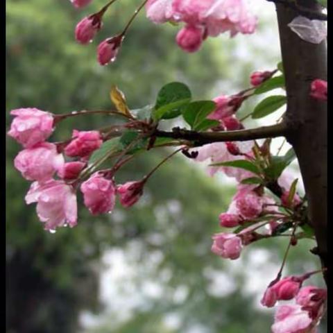 交流研讨聚智慧，凝心聚力共成长——第五实验小学二年级语文集体活动