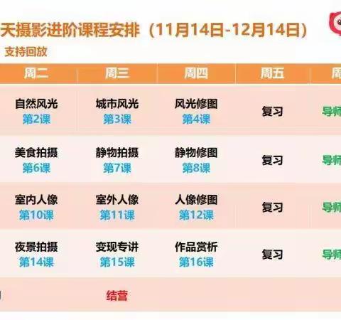 课程安排