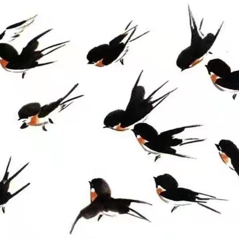 国画小燕子
