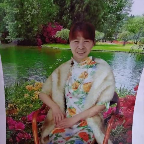 我的流金岁月