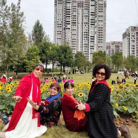 葵花朵朵向阳开