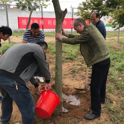 美化校园环境、植树绿化校园