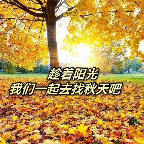 朝晖幼儿园秋游通知🍂