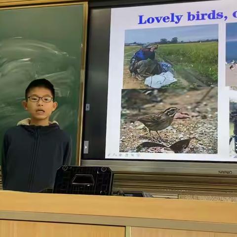 Lovely birds, our friends