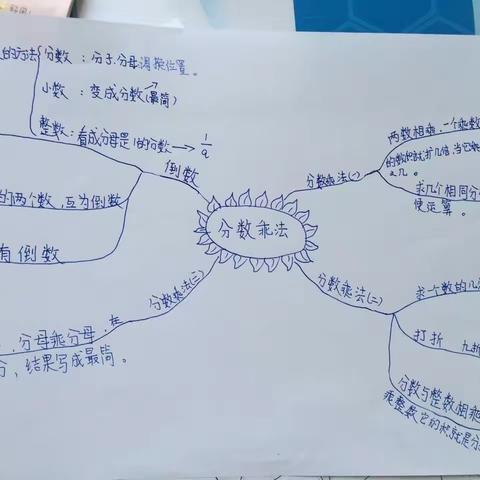 5年5班 数学第三单元思维导图