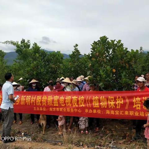 2020年东方市江边乡新明村委会就业扶贫《植物保护》与《挖掘机操作》培训班