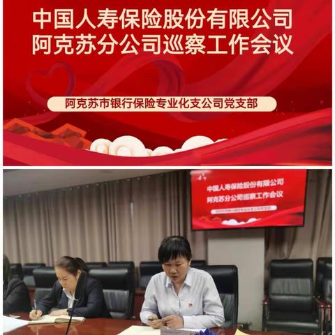 阿克苏市银行保险专业化支公司党支部巡察工作动态