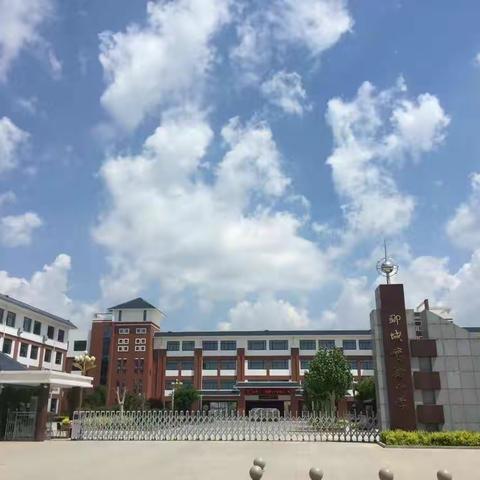 五一劳动节，勤奋才快乐–聊城市实验小学三年级劳动节实践作业展示记录