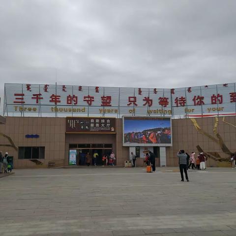 西行漫记（八）额济纳旗胡杨林