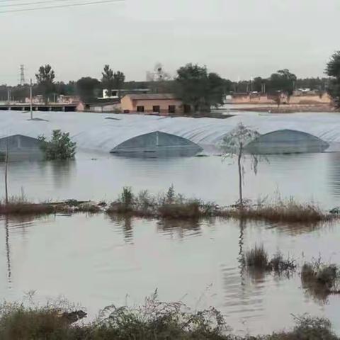 心系山西•携手共“晋”|中财河北校友会驰援山西水灾