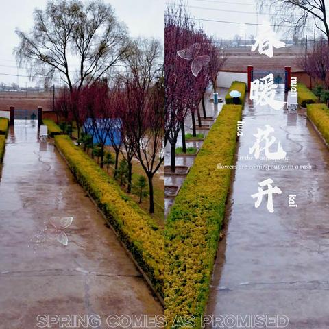崾岘小学活动剪集