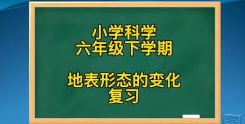 科学 六年级下册 第二单元复习