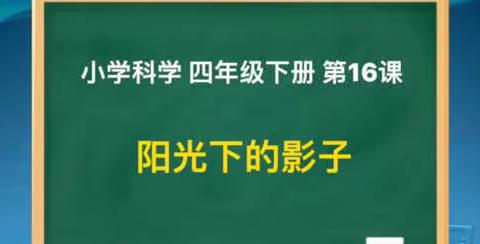 小学科学 四年级下册第16课《阳光下的影子》