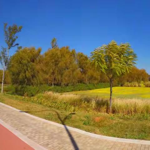 立冬后的昆明，我的家乡美不美！