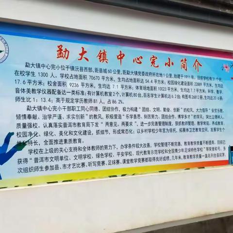 勐大镇小参观、学习图片