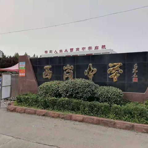 强镇筑基      送教助研