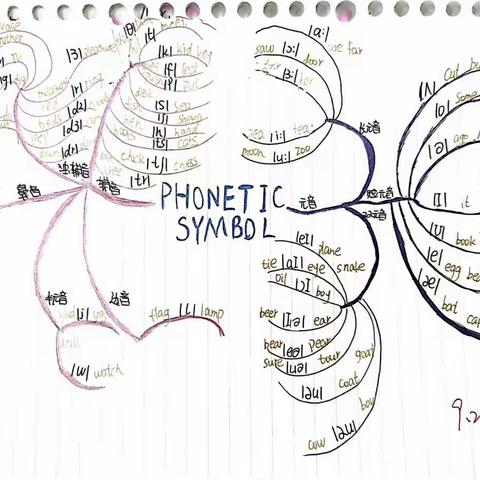 15班优秀英语作业展示——音标思维导图