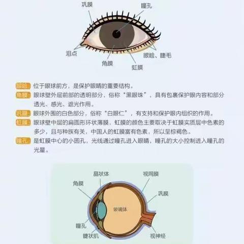 呵护眼睛    预防近视