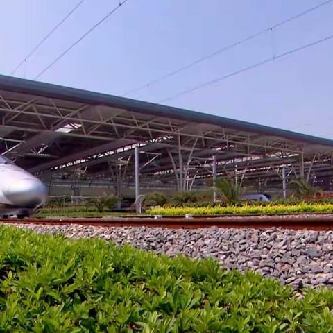 巾帼力量“感人瞬间”微视频