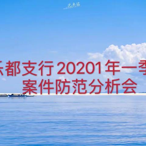 乐都支行召开2021年一季度案件防范分析会