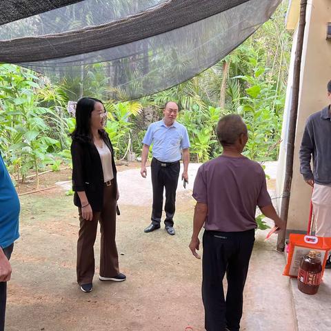 春节前期天涯区政府李丽英副区长走访慰问抱前村委会振兴工作队老党员、困难群众