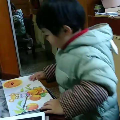 宝宝爱读书