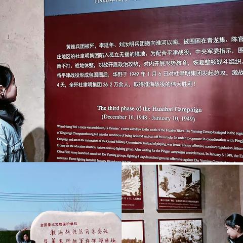 红领巾争章——沁阳市实验小学五(5)班赵婉晴