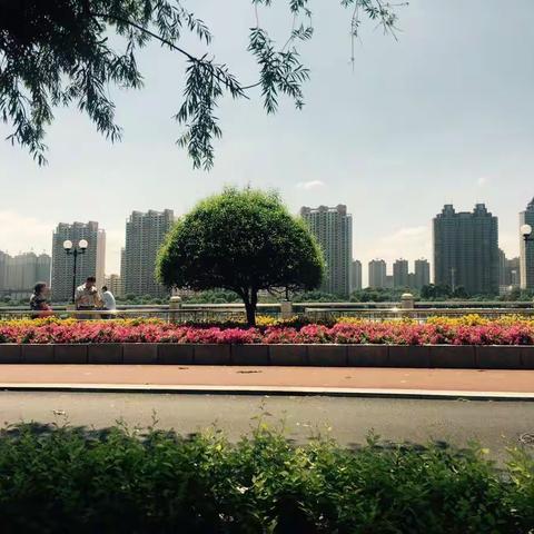 二十年后重回母校