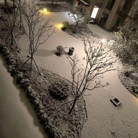 午夜梦回，雪花飞扬。