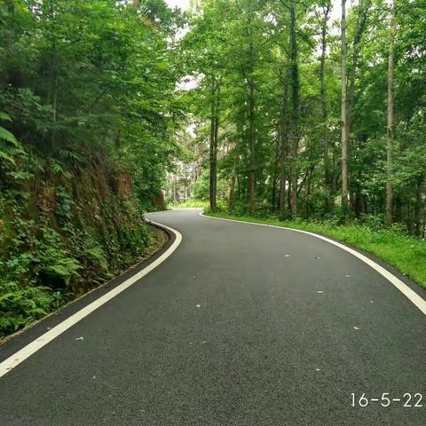 行走在江夏环山绿道上