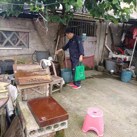 沙河村的灭蚊工作。