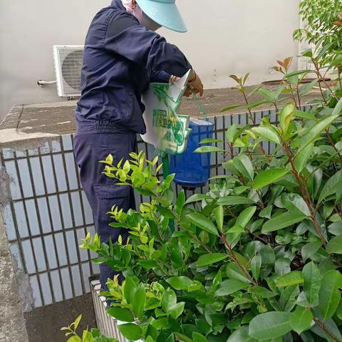 台风“烟花”过后贵驷街道的消杀工作