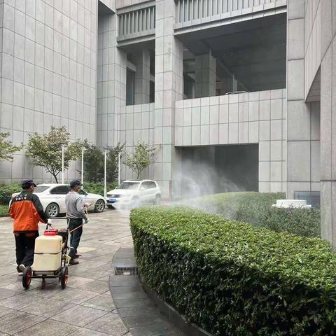 镇海区政府灭蚊的工作。