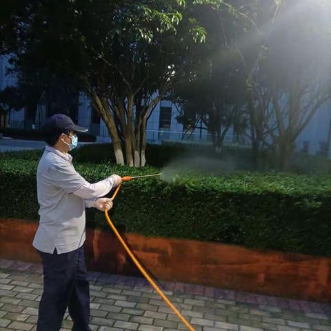 镇海区政府外环境灭蚊。