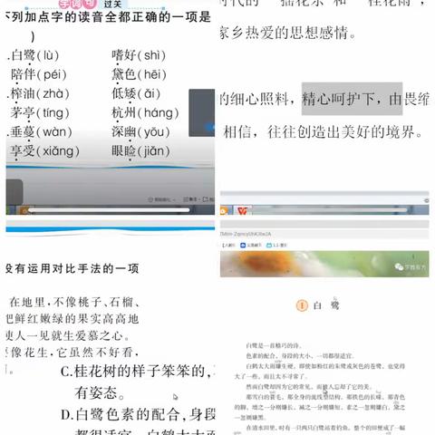 网课进行时 学习不延迟——鸦岭镇殷沟小学线上教学一周总结