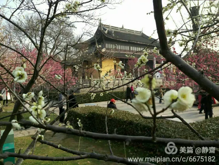 走进红梅阁