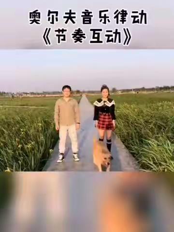 中心幼儿园小班级活动推送