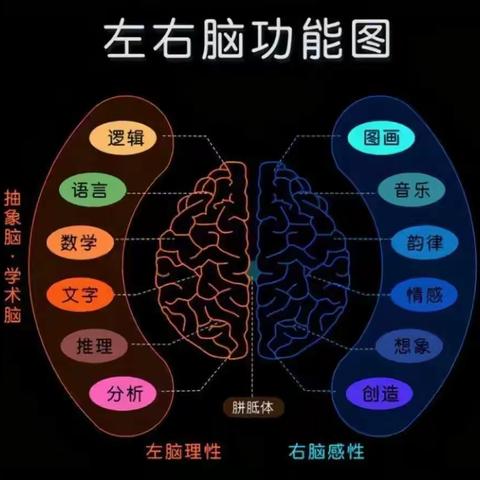 0-9岁左右脑功能区的感统训练方法