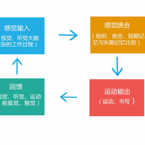 0-6岁儿童感觉统合发展的特点