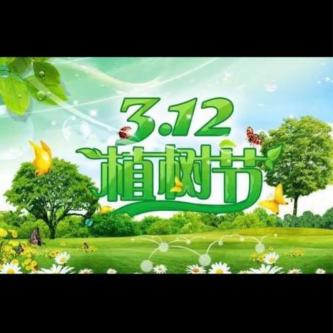 新二小二（4）班植树掠影