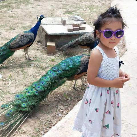 【体智轮舞】让孩子开开心心学习,快快乐乐成长。