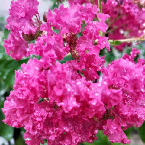 欣欣小学一年级1班                         花好人更好，月圆人团圆，中秋快乐