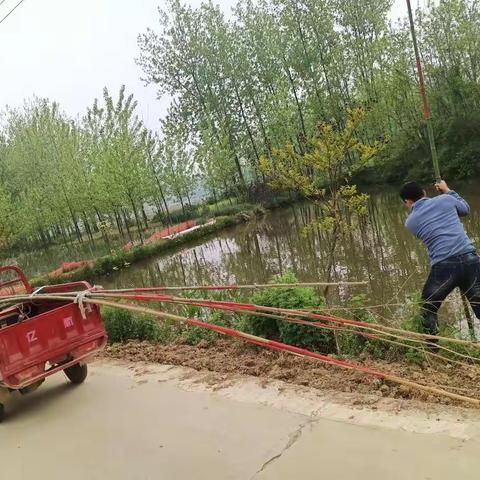 王店乡中心校李香铺小学安全活动纪实